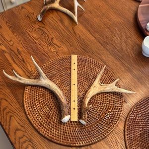 One pair of Whitetail deer antlers.